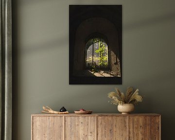 Nature is everywhere (licht dat door een oude ruit valt en zowel de planten binnen als buiten verlicht) van Birgitte Bergman