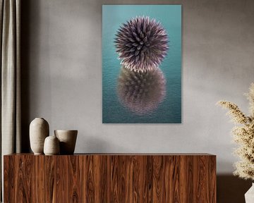 Paarse blauwe distelbol met abstracte reflectie van Marjolijn van den Berg