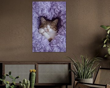 Chat dormant dans des fleurs en papier de soie violet