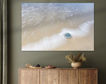 Blauwe kwal op het Noordzeestrand bij Burgh-Haamstede van Heidi Bol