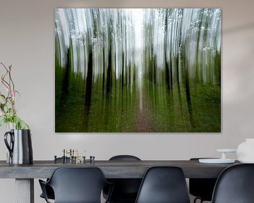 Sentier forestier