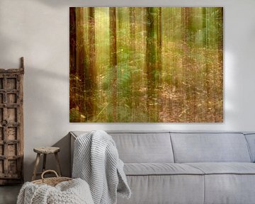 Forêt d'automne