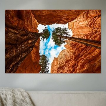 De bomen van Bryce Canyon van Ton Kool