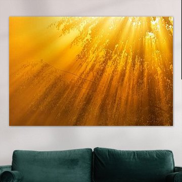 light explosion on Brunssummer Heath