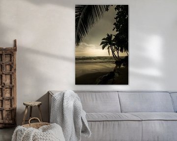 Sonnenaufgang mit Palmen in Puerto Viejo - karibische Gelassenheit von Rick Massar