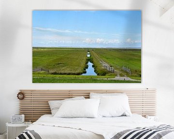 die schöne friesische Landschaft von Double u photography