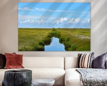 ein Graben zwischen der friesischen Landschaft von Double u photography