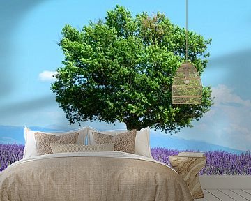 Lavender blossoming in the Provence during a summer day by Sjoerd van der Wal Photography