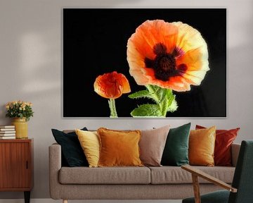 BERLIJN Bloemen - kom op van Bernd Hoyen