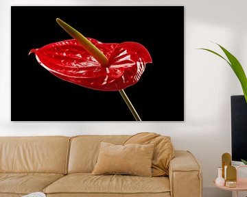 BERLIJN Bloemen - heerflamingo