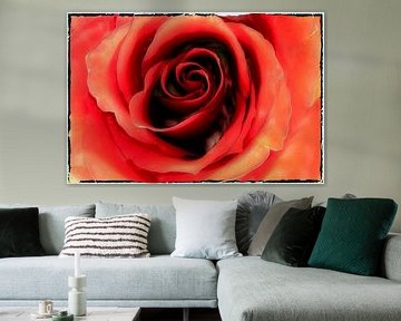 BERLIJN Bloemen - rood rozenmeer van Bernd Hoyen
