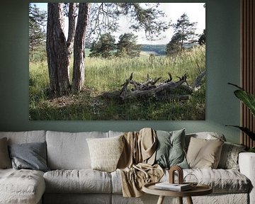 Un mur naturel dans la Rhön