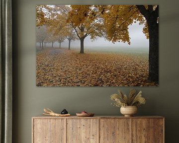 Chemin avec feuilles d'automne avec brouillard près de Bad Neustadt