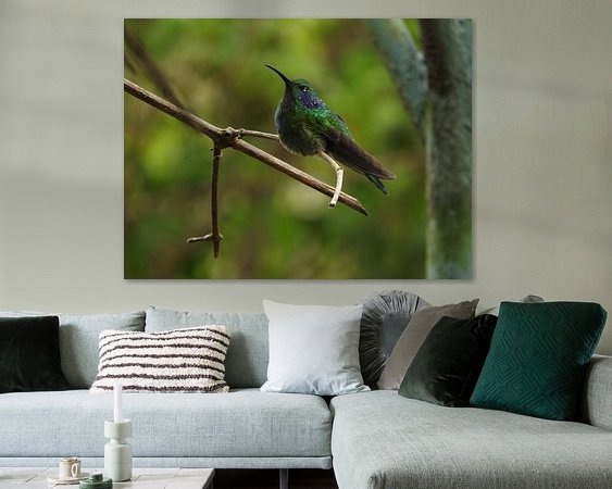 Aperçu de la chambre