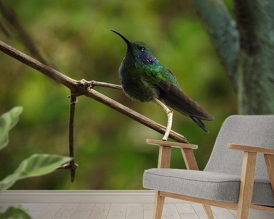 Aperçu de la chambre