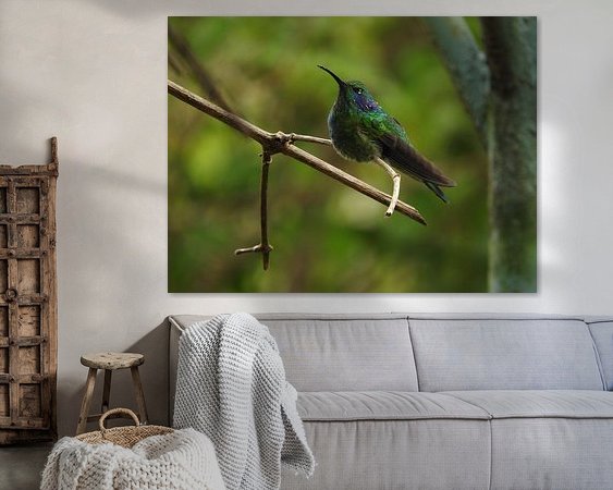 Aperçu de la chambre