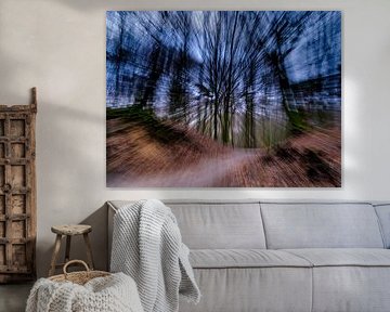 Leuvenum Forest