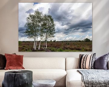 Sprokkelweg Holten Nijverdal Heide
