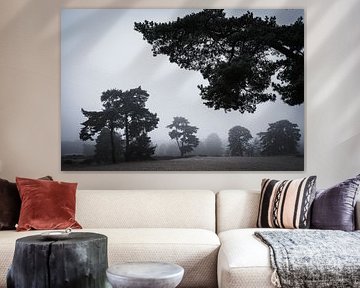 Soesterduinen by Eddy Westdijk