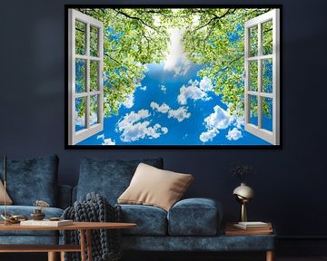 beautiful views of trees and clouds