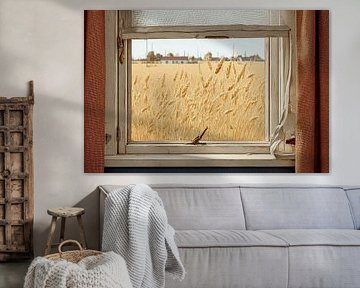 beautiful view over the wheat field