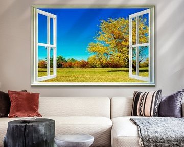 beautiful view over the meadow
