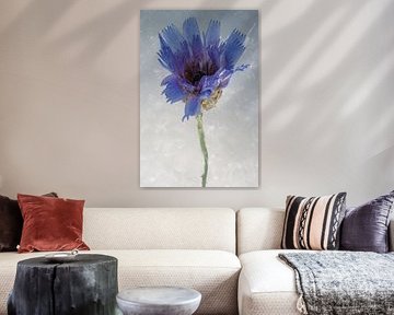 Roze bloesem in ijs 2 van Marc Heiligenstein