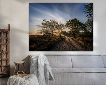 Ermelose heath in the morning by Eddy Westdijk