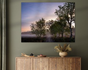 Ermelose heath in the morning by Eddy Westdijk