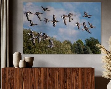 Flying Geese over the Water. by Brian Morgan