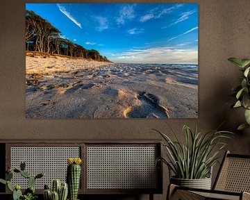 Droomstrand van BLUE 7