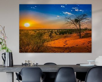 Sonnenaufgang in der Kalahari-Wüste, Namibia