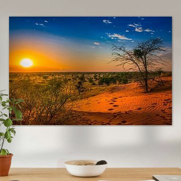 Zonsopkomst in de Kalahari woestijn, Namibië