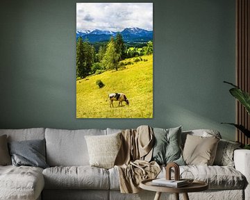 Koe op de Isenberch met de Alpen op de achtergrond van Rico Ködder