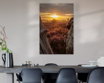 Golden sunbeams and the purple heather by Christianne de Weerd