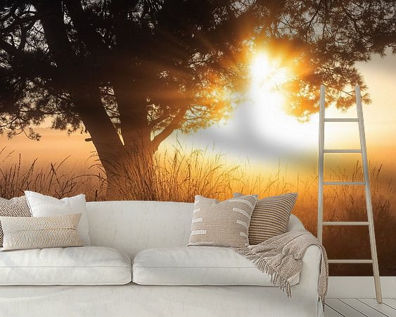 Raumvorschau