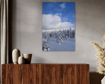 A snowy forest after the storm by Claude Laprise