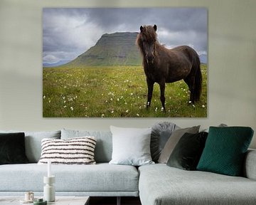 Ijslands paard bij Kirkjufell