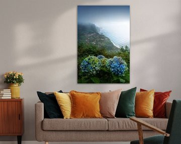 Hydrangea of Madeira