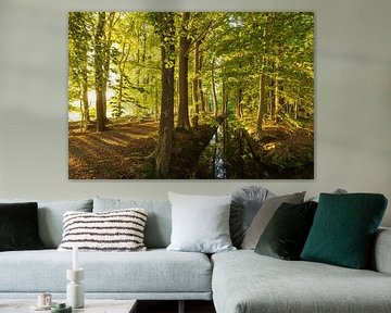 Sunrise in the forest (Netherlands) by Marcel Kerdijk