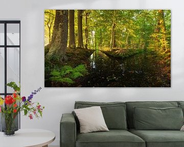 Sunrise in the forest (Netherlands) by Marcel Kerdijk