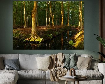 Sunrise in the forest (Netherlands) by Marcel Kerdijk