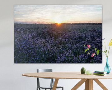 Veluwe 2025 van ELGER VERMEER