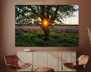 Veluwe 2025 van ELGER VERMEER