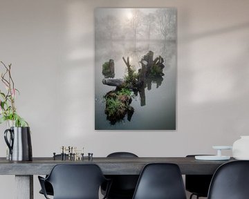 Tree stumps in the water with morning mist by ZAGATTA PHOTOWORKS