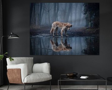 caught in a pond in the forest by twinkel photography