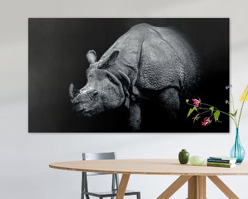 Rhinoceros by Lens_en_Dier/Vizier Fotografie