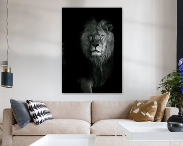 The Lion by Lens_en_Dier/Vizier Fotografie
