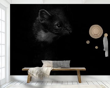 De marter van Lens_en_Dier