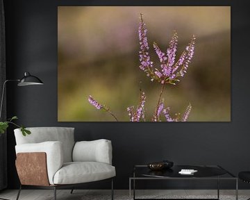 Flowering heather